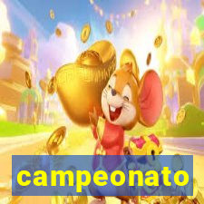 campeonato brasileiro standings